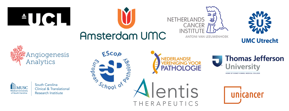 University College London, Amsterdam UMC, Netherlands Cancer Institute, UMC Utrecht, Nederlandse Vereiniging voor Pathologie, European School of Pathology, Angiogenesis Analytics